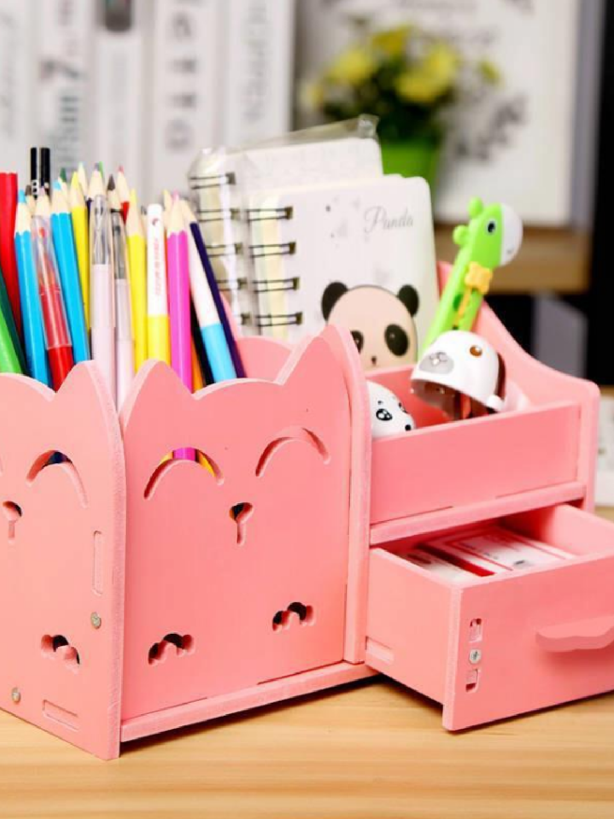 Multi-Function Desktop Organizer