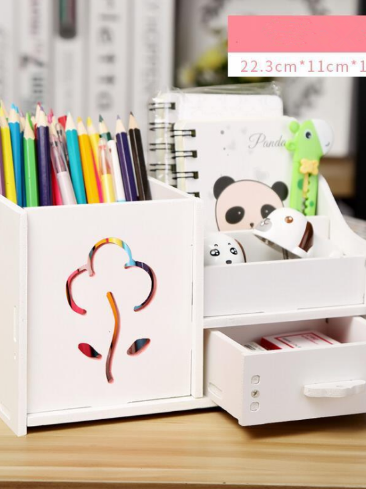 Multi-Function Desktop Organizer